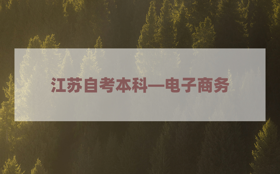 2021年江苏自考本科有电子商务专业吗?