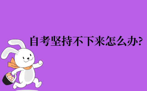 自考本科坚持不下来怎么办?