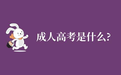 江苏省成考是什么?