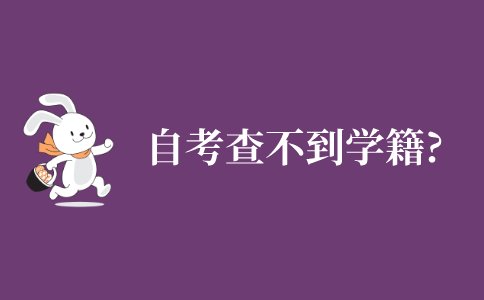 自学考试为什么查不到学籍?