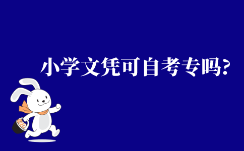 2021年小学文凭可以自考专科吗?