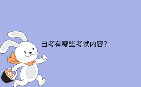 江苏省自考有哪些考试内容？