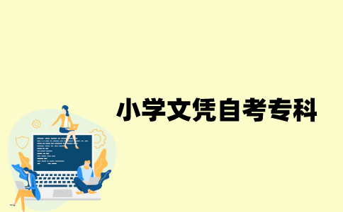 江苏自考小学文凭可以报名专科吗？