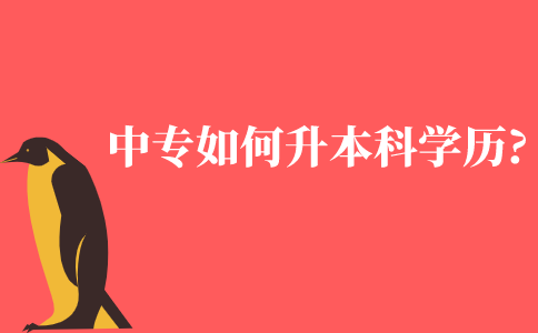 中专如何升本科学历?