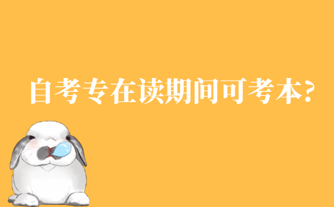 自考专科在读期间可以考本科吗?
