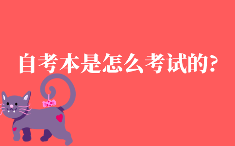 自考本科是怎么考试的?
