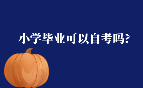 小学毕业可以自考吗?
