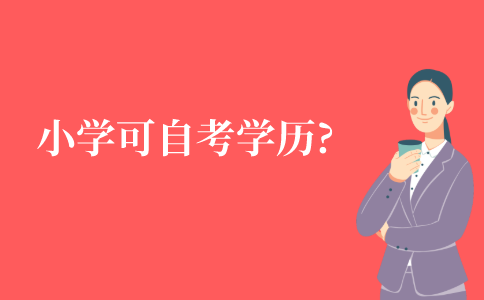 小学毕业可以自考什么学历?