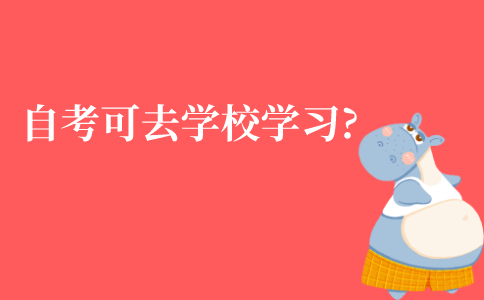 江苏自考本科可以去学校学习吗?