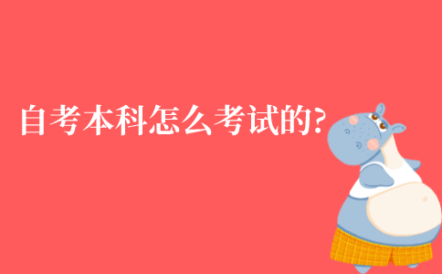 江苏自考本科是怎么考试的?