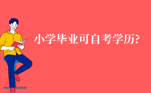 江苏小学毕业可自考什么学历?