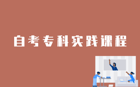 江苏自考专科实践课程以什么形式考察？