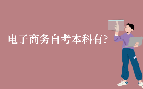 江苏电子商务自考本科有哪几科?