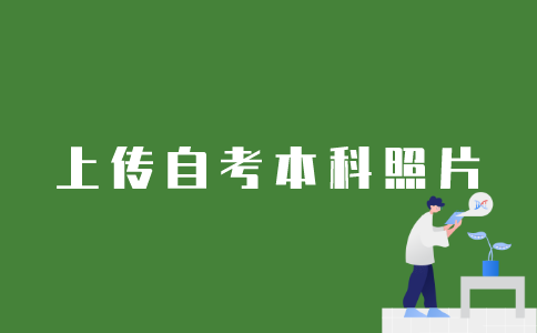 江苏自考本科证件照如何上传？