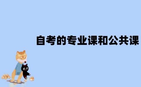 江苏自考的专业课和公共课有什么不同？