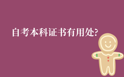 江苏自考本科证书的到底有什么用处?