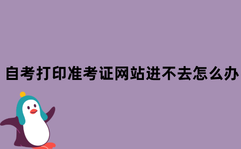 江苏自考打印准考证网站进不去怎么办？