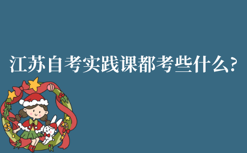 江苏自考实践课都考些什么?