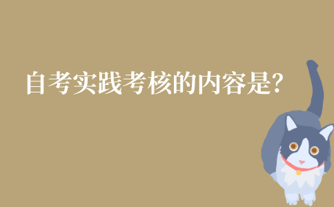 江苏自考实践考核的考核内容是什么？