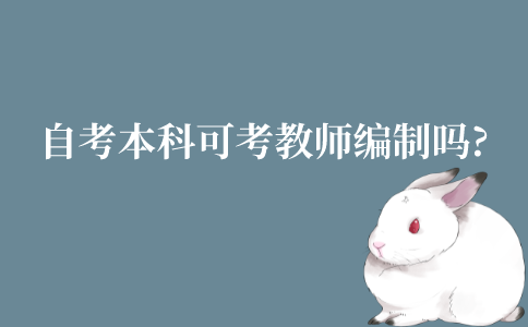 江苏自考本科学历可以考教师编制吗?有什么条件吗?