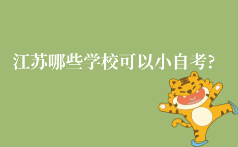 江苏哪些学校可以小自考?