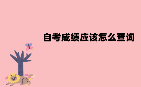 江苏自考成绩应该怎么查询？流程是怎样的？