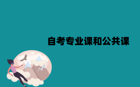 江苏自考专业课和公共课哪个先考？怎么安排课程？