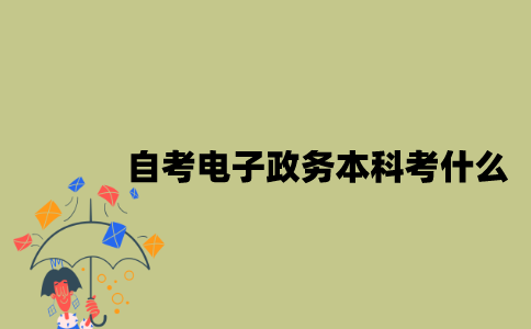 江苏自考电子政务专业本科考什么？
