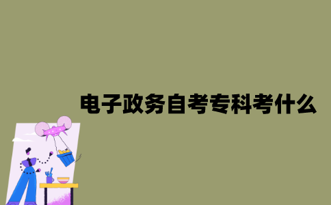江苏电子政务专业自考专科考什么？