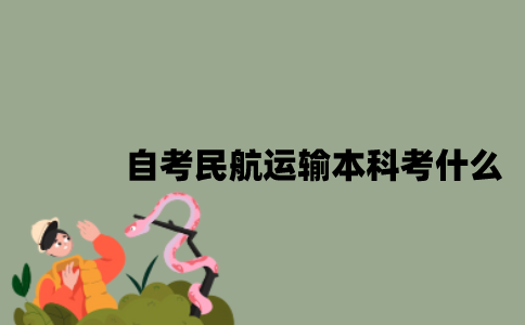 江苏自考民航运输专业本科考什么？