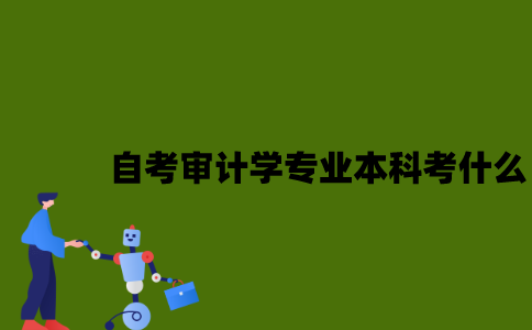 江苏自考审计学专业本科考什么？