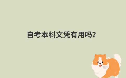 自考本科文凭有用吗？