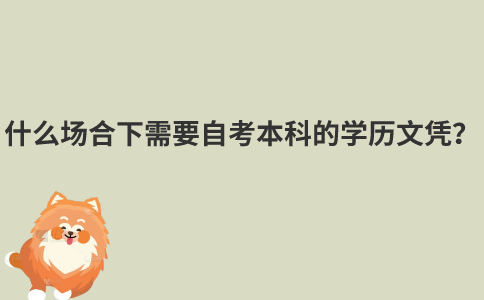 什么场合下需要自考本科的学历文凭？