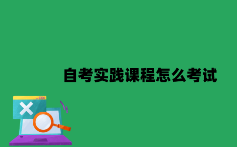 南京大学自考实践课程怎么考试？