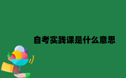 南京大学自考实践课是什么意思？