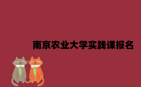 南京农业大学实践课报名时间怎么查询？