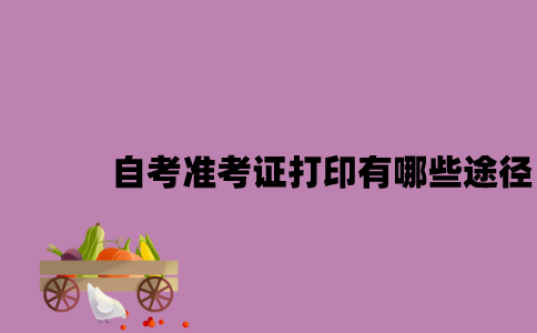 江苏自考准考证打印有哪些途径2023年7月？